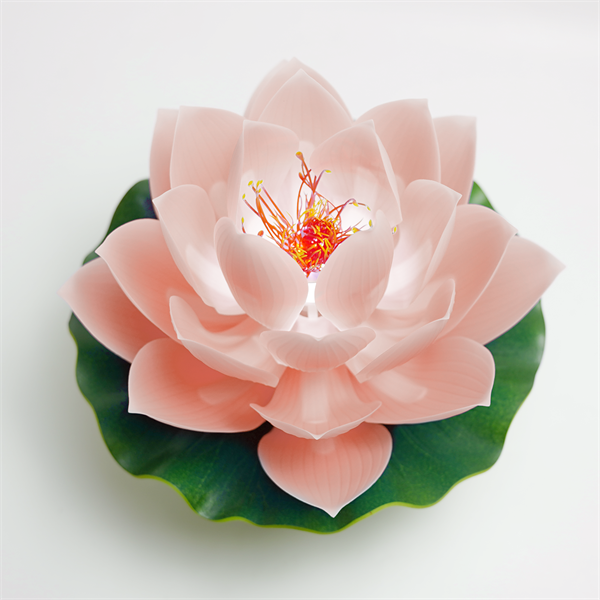 粉莲花花蕊款(大)