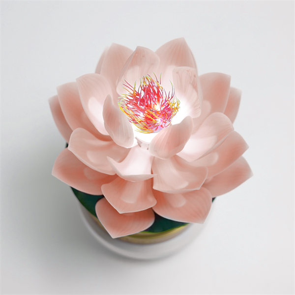 粉莲花花蕊款(小)