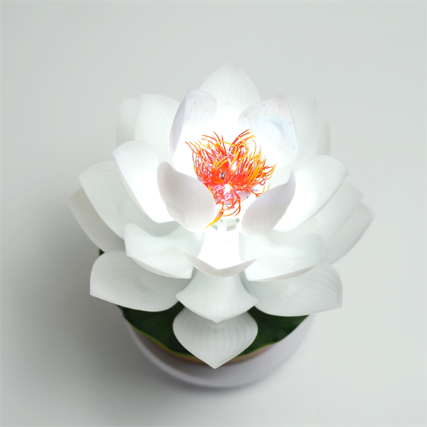 白莲花花蕊款(小)